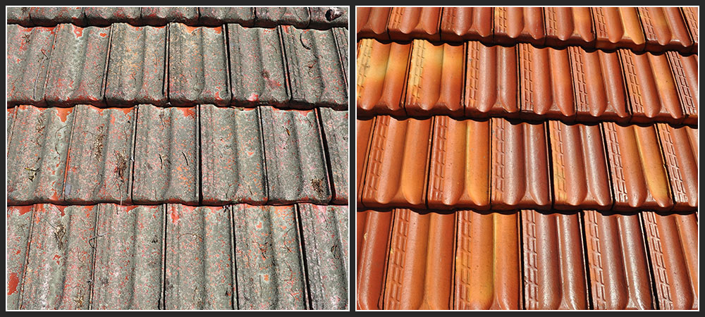 Roof Restore